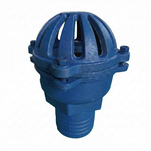 Heavy-duty Casting Anti-clogging Floor Drain